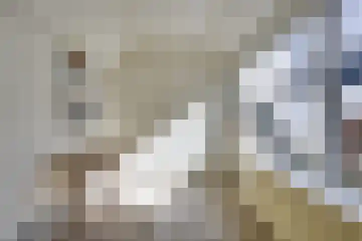 Guldenaerde 12 Giessen thumbnail 11