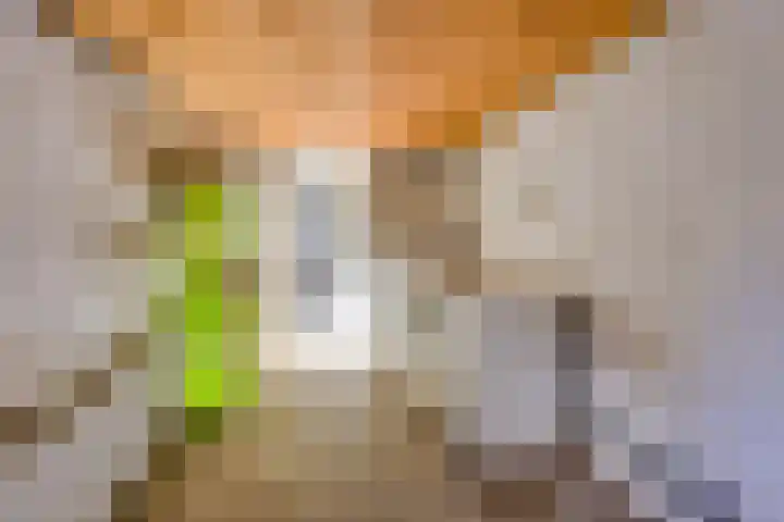 Guldenaerde 12 Giessen thumbnail 13