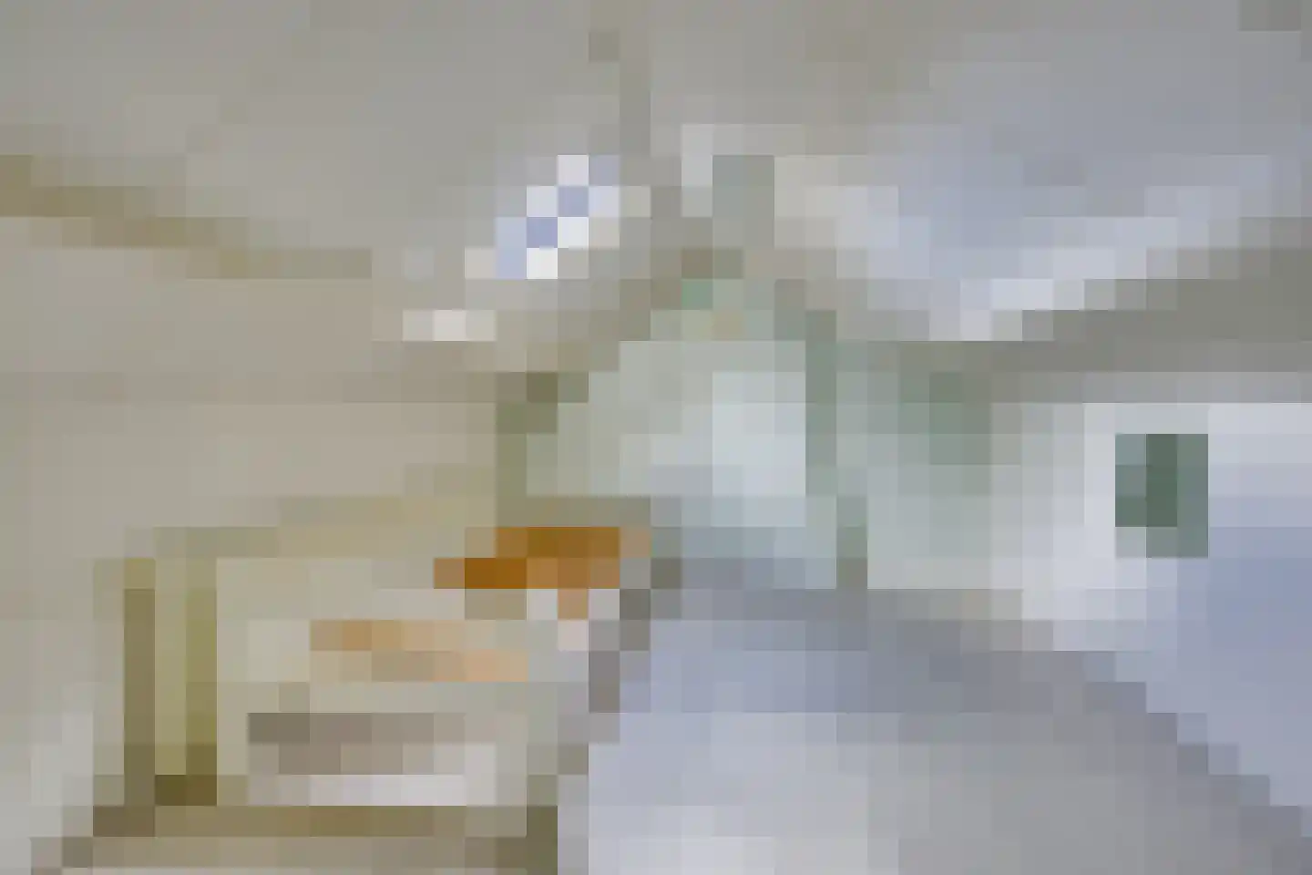 Guldenaerde 12 Giessen thumbnail 21