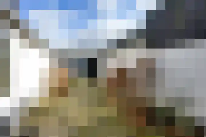 Guldenaerde 12 Giessen thumbnail 22