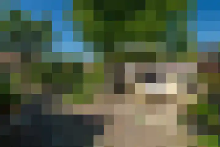 Guldenaerde 49 Giessen thumbnail 25