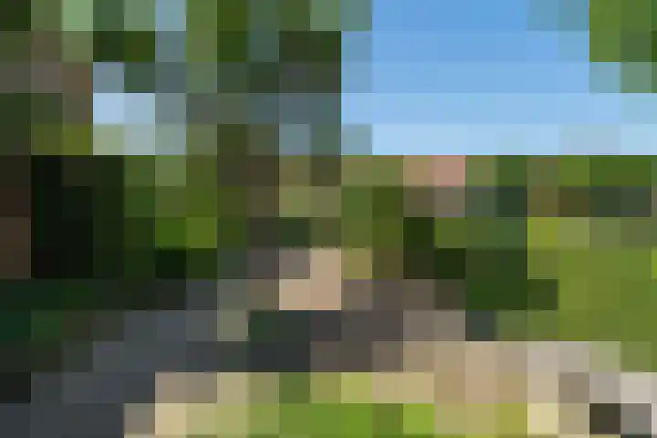 Guldenaerde 49 Giessen thumbnail 26