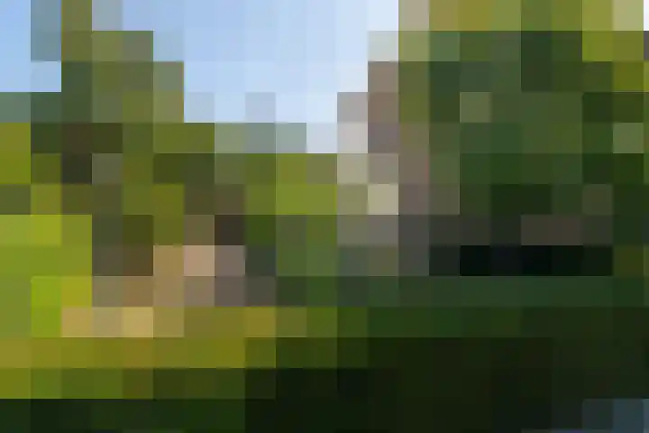 Guldenaerde 49 Giessen thumbnail 27