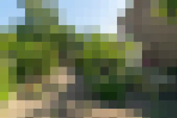 Guldenaerde 49 Giessen thumbnail 28