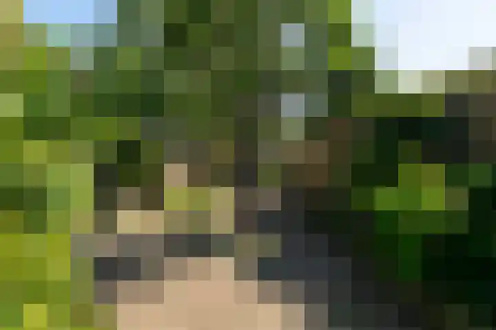 Guldenaerde 49 Giessen thumbnail 29