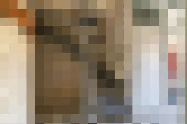 Guldenaerde 49 Giessen thumbnail 6