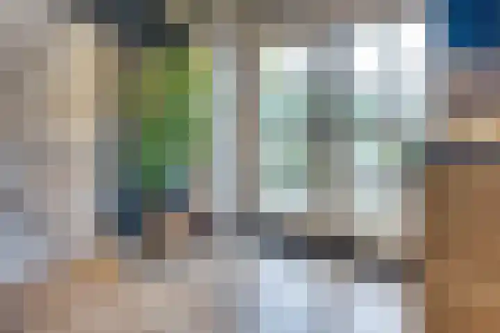 Guldenaerde 5 Giessen thumbnail 10