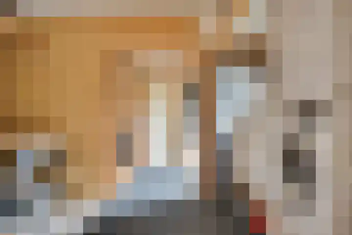Guldenaerde 5 Giessen thumbnail 16