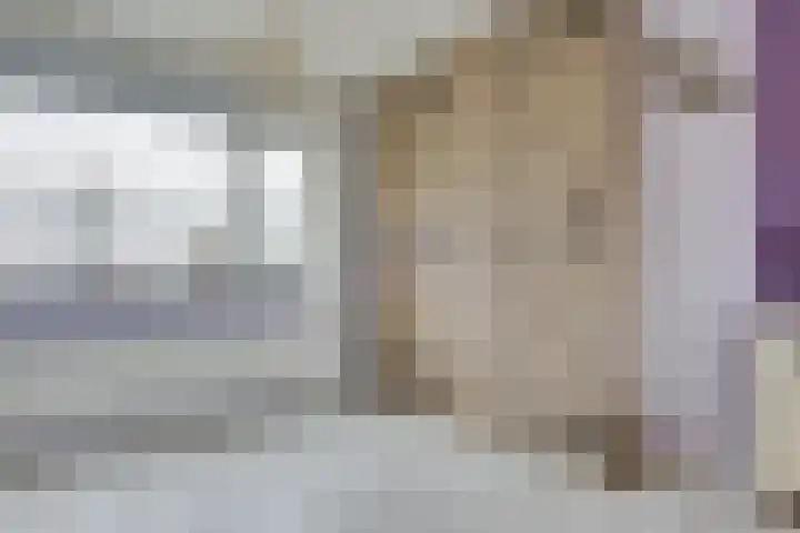 Guldenaerde 5 Giessen thumbnail 20