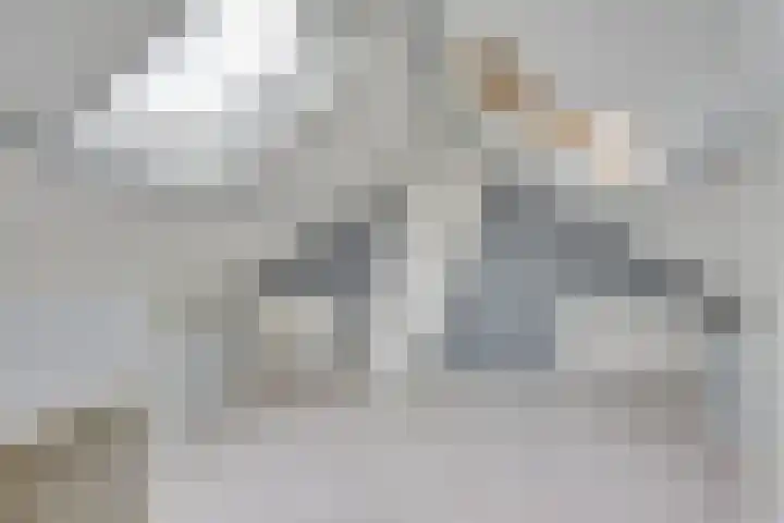 Guldenaerde 5 Giessen thumbnail 23