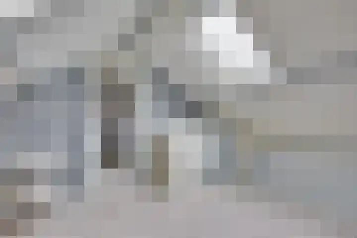 Guldenaerde 5 Giessen thumbnail 24