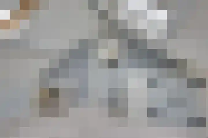 Guldenaerde 5 Giessen thumbnail 25