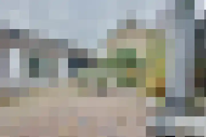 Guldenaerde 5 Giessen thumbnail 29