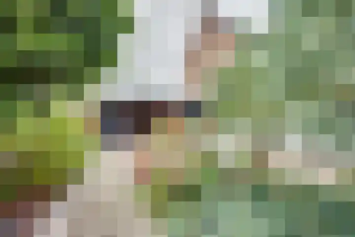 Guldenaerde 5 Giessen thumbnail 32