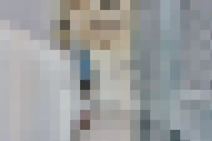 Guldenaerde 5 Giessen thumbnail 6