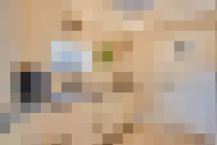 Guldenaerde 5 Giessen thumbnail 7
