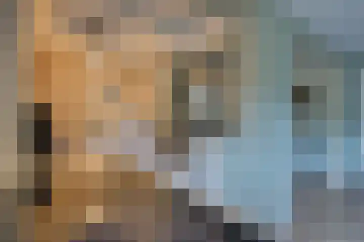 Guldenaerde 5 Giessen thumbnail 9