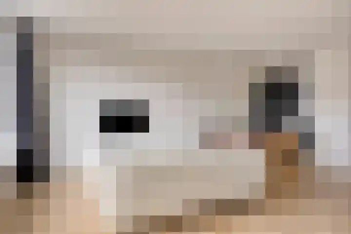 Guldenakker 15 Koog aan de Zaan thumbnail 13