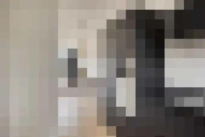 Guldenakker 15 Koog aan de Zaan thumbnail 16