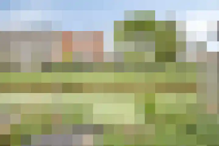 Guldenakker 15 Koog aan de Zaan thumbnail 34