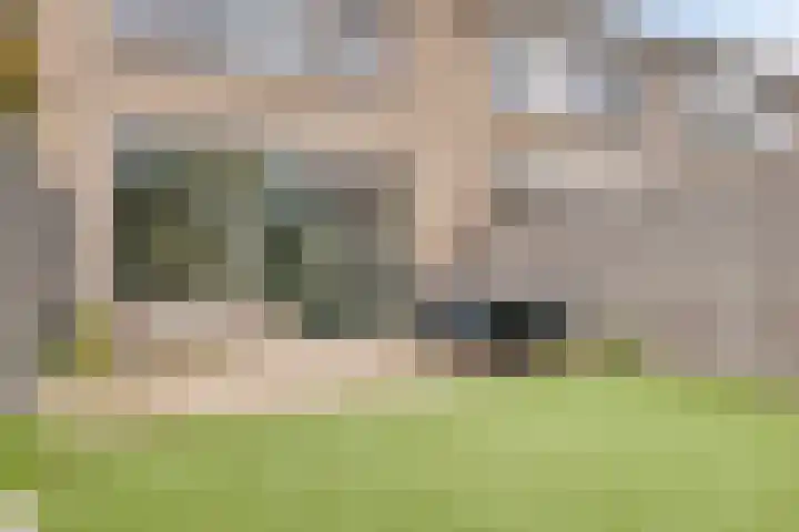 Guldenakker 15 Koog aan de Zaan thumbnail 6