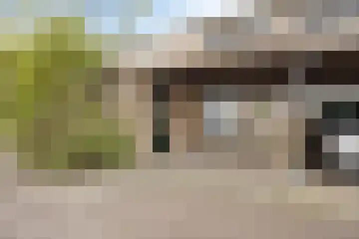 Guldenakker 15 Koog aan de Zaan thumbnail 7
