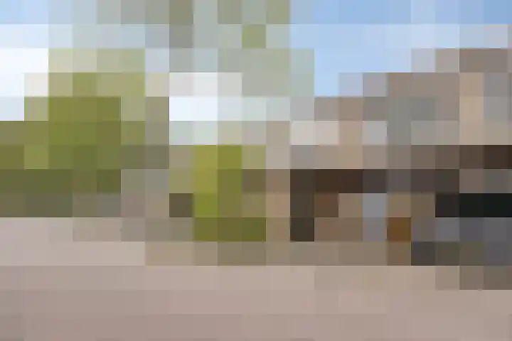 Guldenakker 15 Koog aan de Zaan thumbnail 8