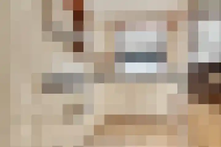Guldenakker 21 Koog aan de Zaan thumbnail 10