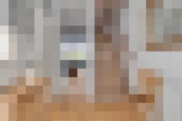 Guldenakker 21 Koog aan de Zaan thumbnail 12