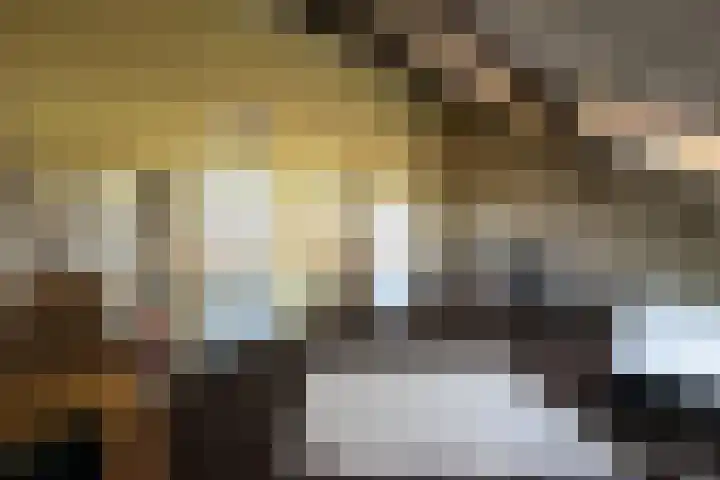 Guldenakker 21 Koog aan de Zaan thumbnail 21