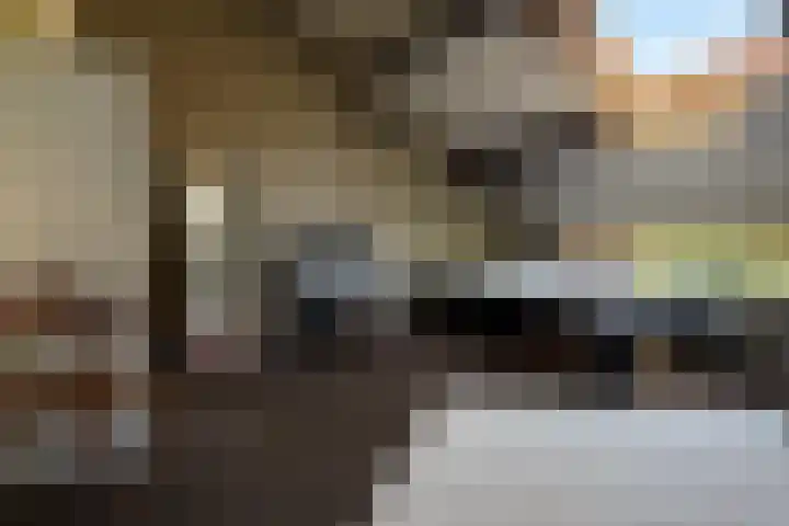 Guldenakker 21 Koog aan de Zaan thumbnail 22