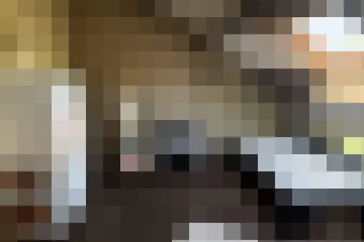 Guldenakker 21 Koog aan de Zaan thumbnail 23
