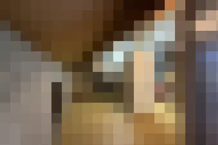 Guldenakker 21 Koog aan de Zaan thumbnail 25