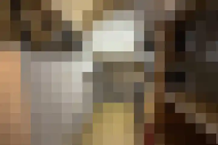 Guldenakker 21 Koog aan de Zaan thumbnail 26