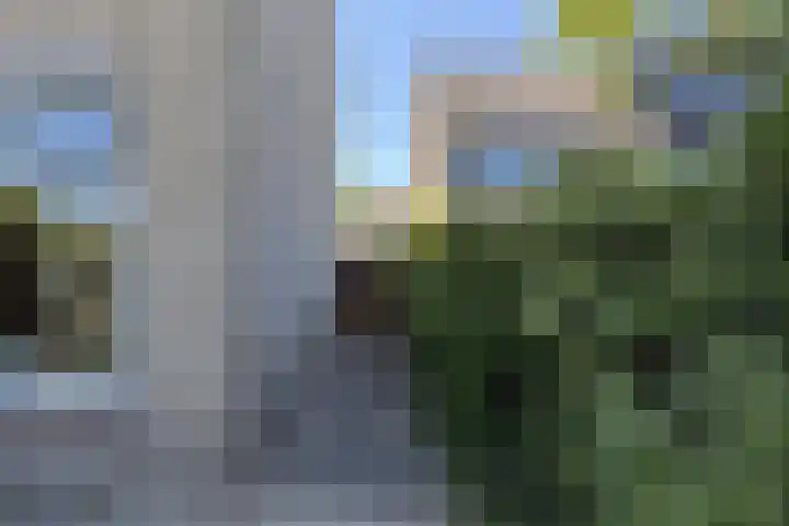 Guldenakker 21 Koog aan de Zaan thumbnail 28