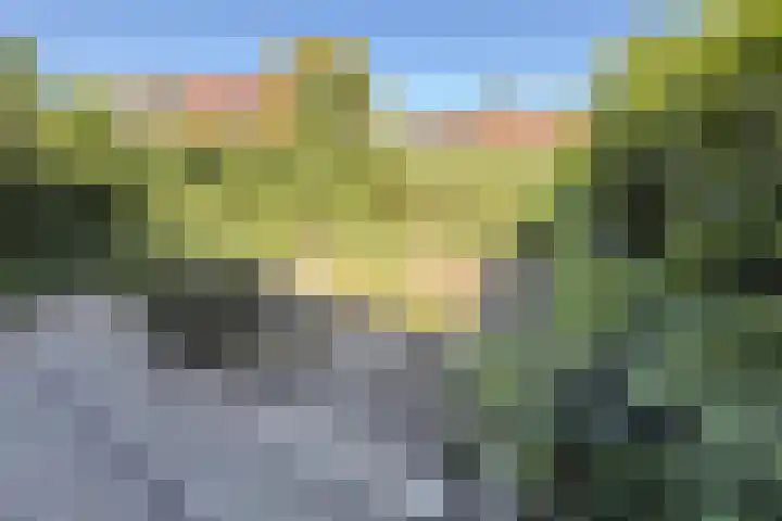 Guldenakker 21 Koog aan de Zaan thumbnail 29