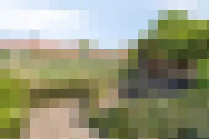 Guldenakker 21 Koog aan de Zaan thumbnail 4