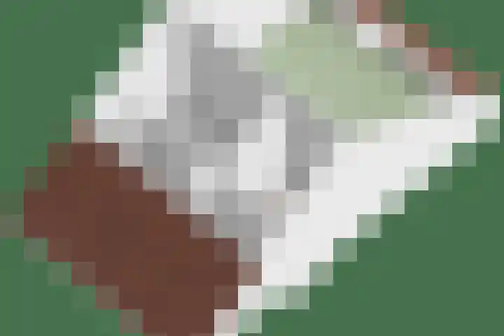 Guldenakker 21 Koog aan de Zaan thumbnail 40
