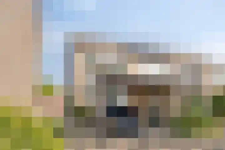 Guldenakker 21 Koog aan de Zaan thumbnail 43