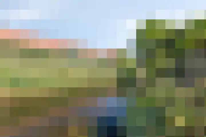 Guldenakker 21 Koog aan de Zaan thumbnail 8