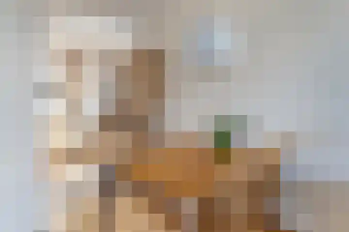 Guldenakker 21 Koog aan de Zaan thumbnail 9