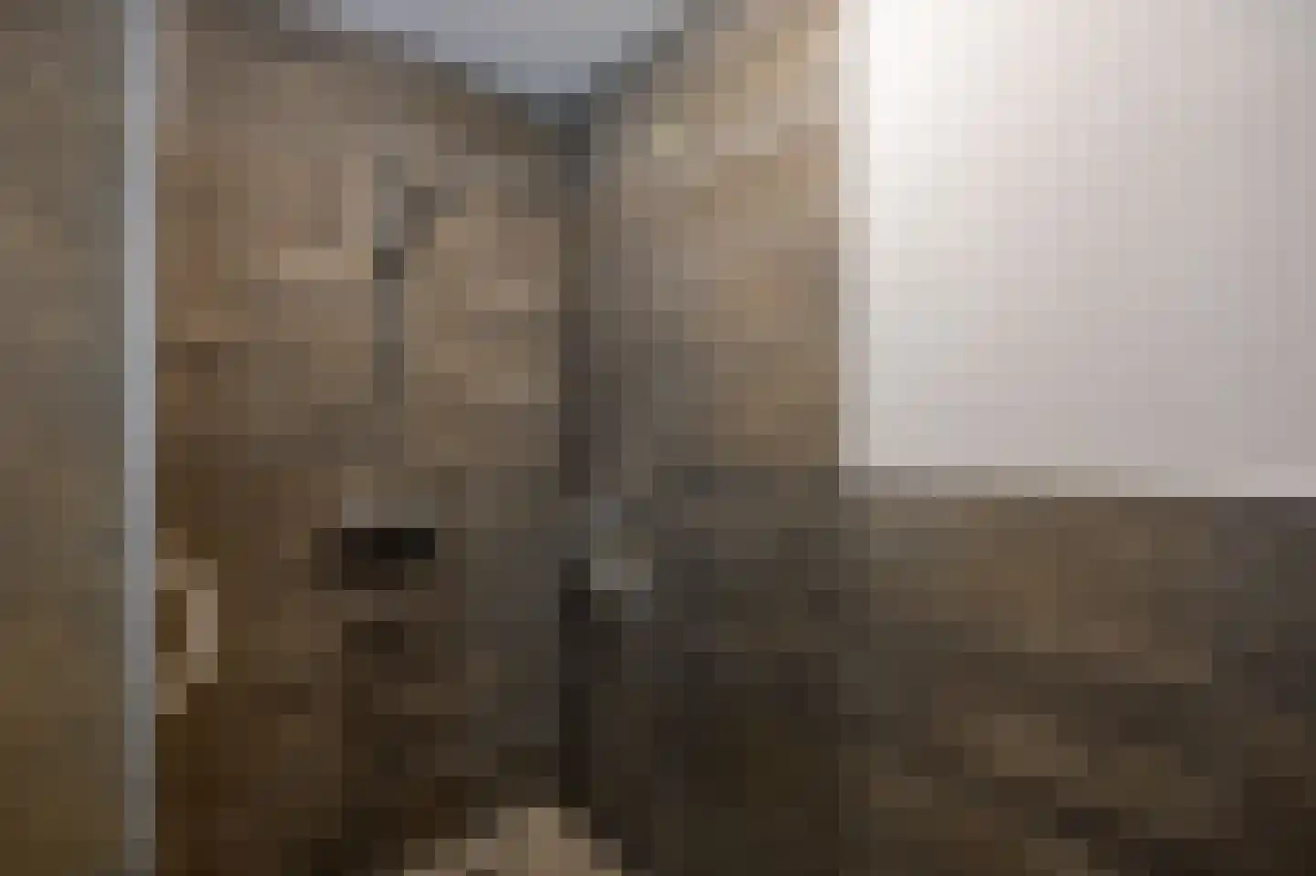 Guldenberg 3 Helvoirt thumbnail 12