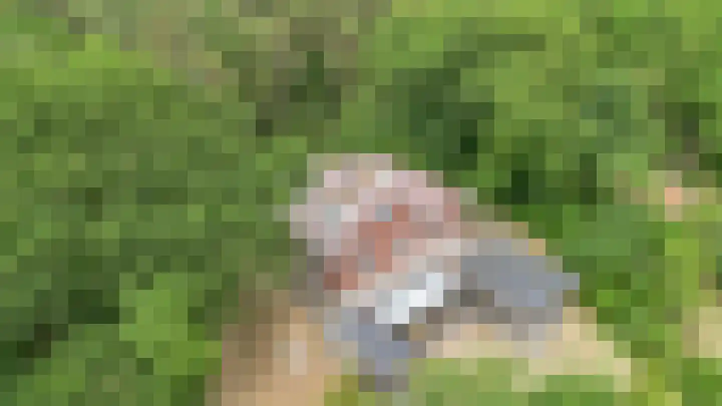 Guldenberg 3 Helvoirt thumbnail 33