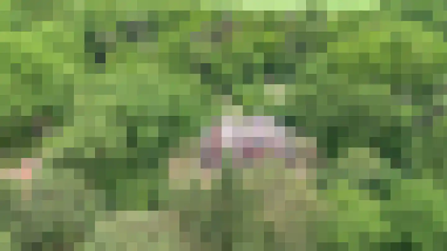 Guldenberg 3 Helvoirt thumbnail 34