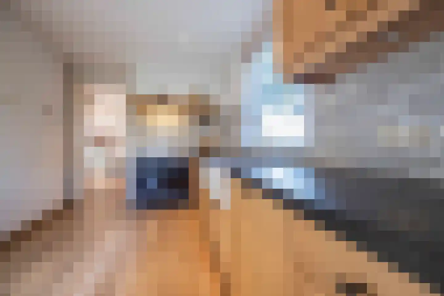Guldenberg 4 Helvoirt thumbnail 14