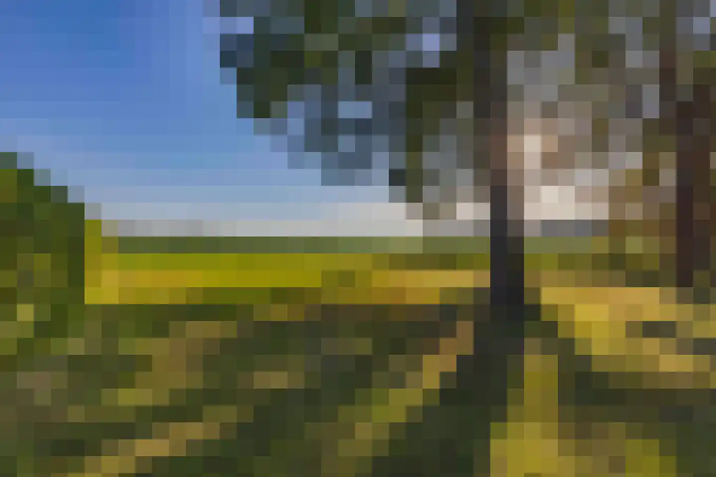 Guldenberg 4 Helvoirt thumbnail 45