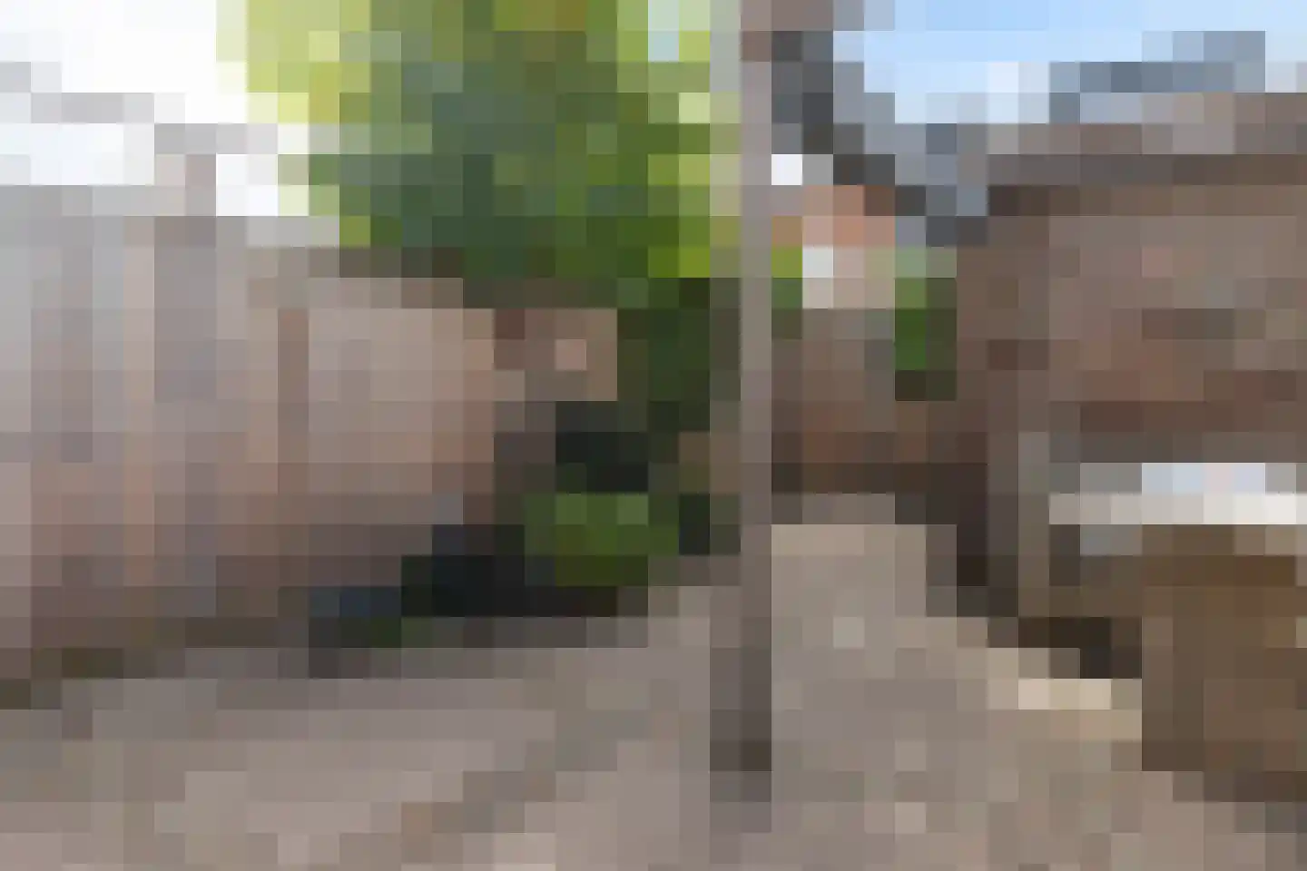 Guldendreef 15 Woerden thumbnail 14