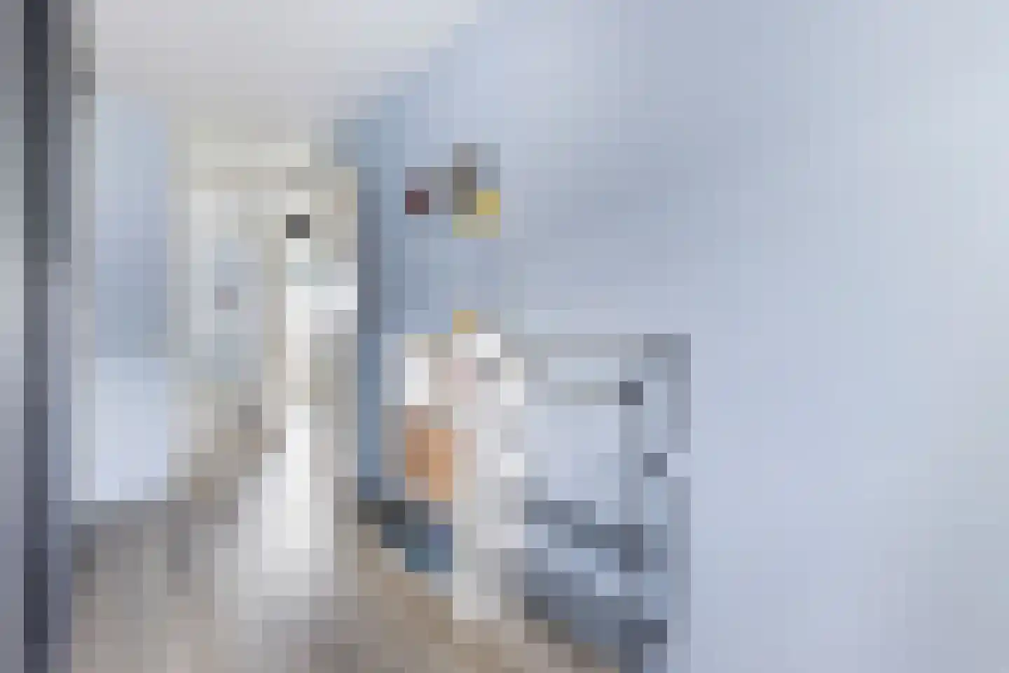 Guldendreef 15 Woerden thumbnail 21