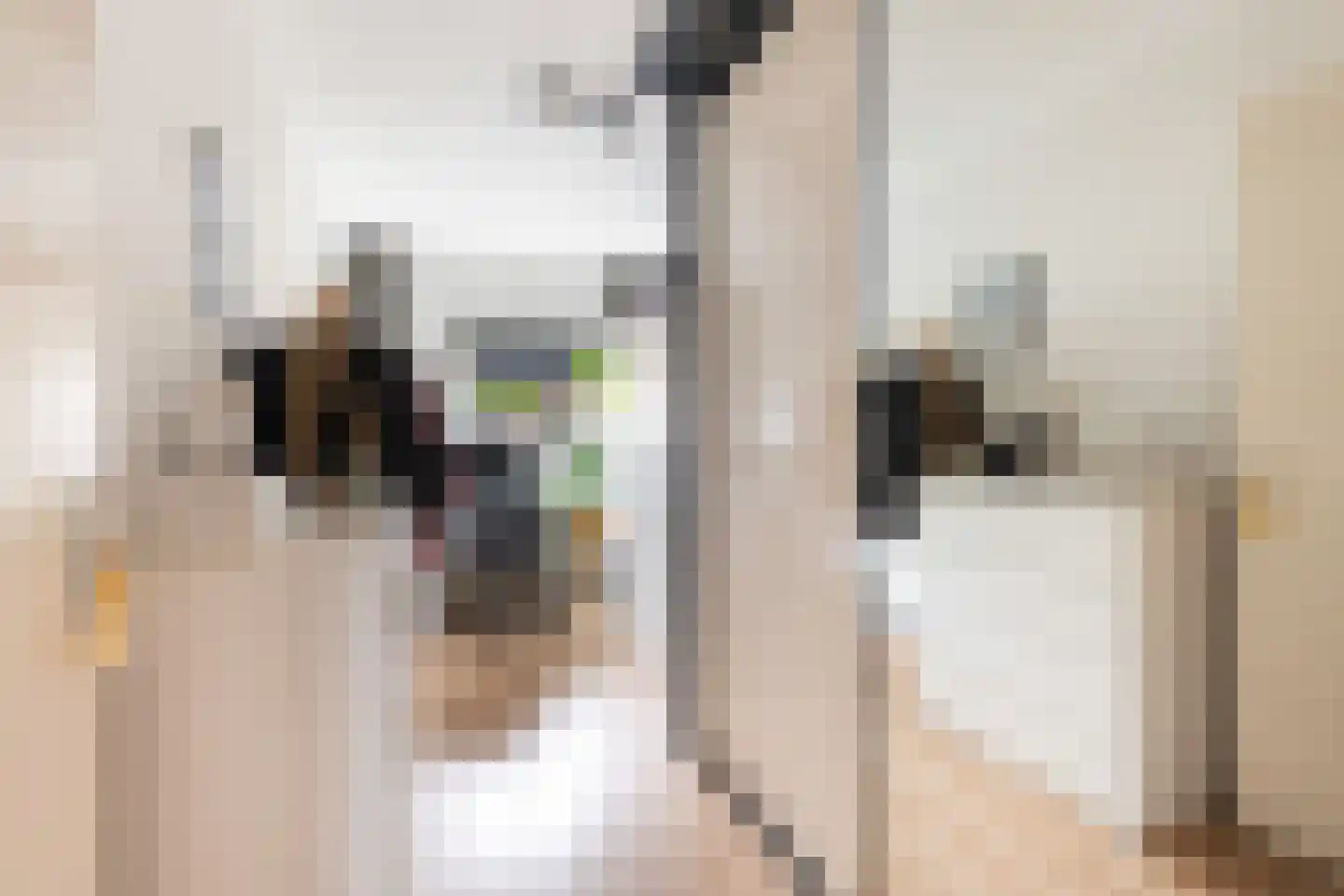 Guldendreef 7 Woerden thumbnail 32