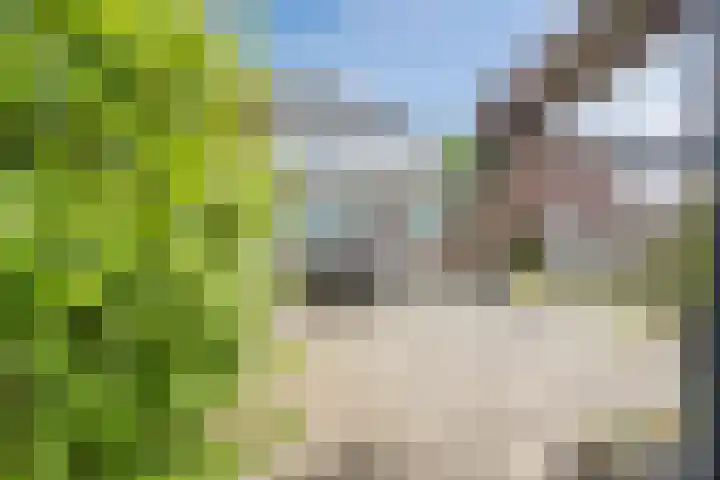 Guldengaarde 27 Cuijk thumbnail 18